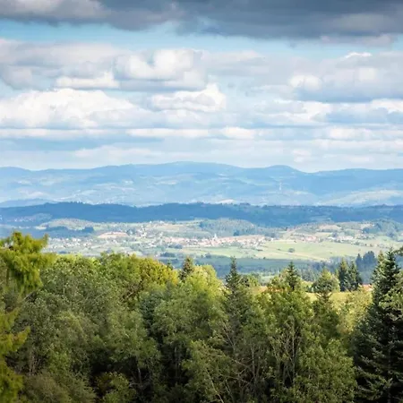 Vila Luxury In France With Private Pool