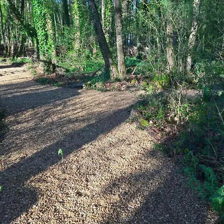 Vila Luxury In France With Private Pool Les Forges (Deux-Sevres)