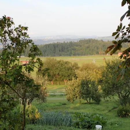 Luxury In France With Private Pool Les Forges (Deux-Sevres)