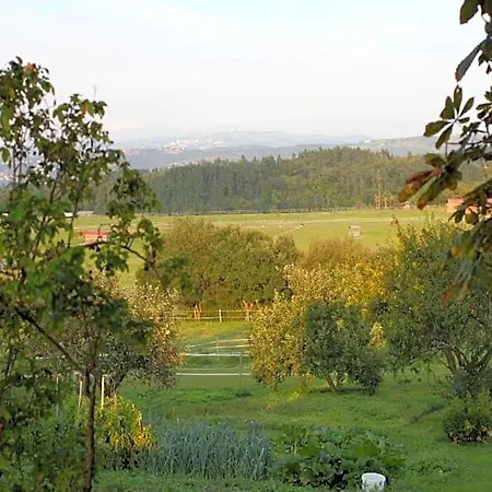 Villa Luxury In France With Private Pool Les Forges (Deux-Sevres)