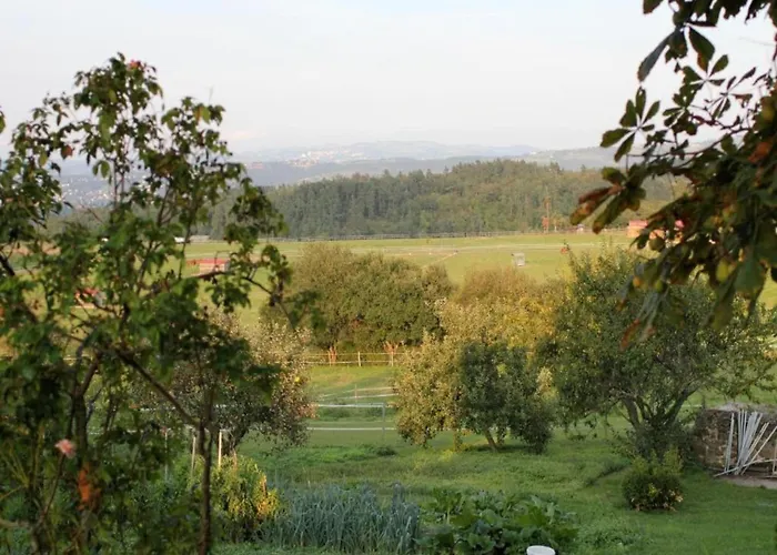 Luxury In France With Private Pool Les Forges (Deux-Sevres)